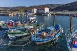 Barche di pescatori nel porto di Strunjan in Slovenia, in Istria - © Cortyn / Shutterstock.com