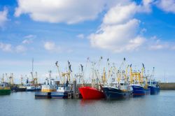 Barche di pescatori nella baia di Lauwersoog in Olanda, Mare di Wadden