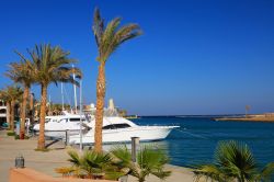 Barche e yachts ormeggiati a Port Ghalib, Egitto. Nella marina trovano posto oltre mille imbarcazioni.
