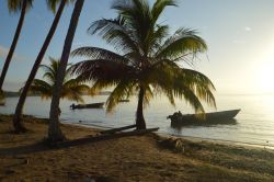 Barche in legno ormeggiate al tramonto vicino alla spiaggia con palme, Suriname (Sud America).

