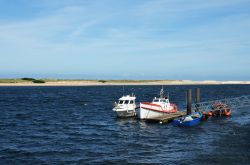 Barche turistiche al porto di Esposende, nord Portogallo.


