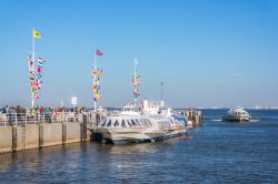 Barche turistiche attraccano al porto di Petergof sul Baltico, in Russia  - © Pelikh Alexey / Shutterstock.com 