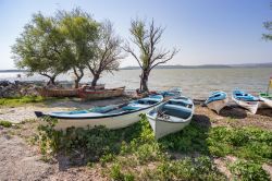 Barche vicino al lago Uluabat nel villaggio di Golyazi, Bursa, Turchia.
