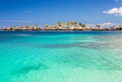 La barriera corallina dell'arcipelago delle isole Togean, a Sulawesi, è un luogo straordinario per praticare lo snorkelling e dedicarsi alle immersioni subacquee - foto © Fabio ...