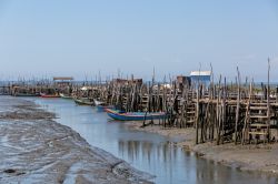 Bassa marea a Comporta in Portogallo. Siamo sulla osta dell'Alentejo