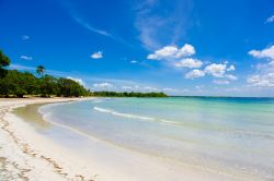 Bay of Pigs a Playa Giron, costa sud di Cuba. Situata a circa 150 km a su est della capitale L'Avana, questa bella baia è delimitata da barriere coralline, spiagge con mangrovie e ...