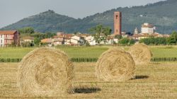 Bientina in Toscana con le rotoballe della mietitura e il Monte Pisano sullo sfondo