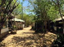 Bio-Ken Snake Farm, Watamu: questo centro di raccolta dei serpenti studia i rettili e prepara antidoti contro i morsi dei serpenti keniani.