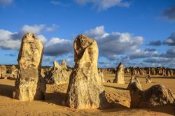 Bizzarre formazioni rocciose nel Nambung National Park, Western Australia. Quest'area desertica è caratterizzata da pinnacoli di pietra che sbucano dal terreno.

