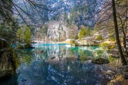 Blausee il lago cristallino vicino a Kandersteg in Svizzera