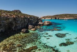 Blue Lagoon di Comino, Malta - Tra Comino e Cominotto si trova la bellissima Blue Logoon, o Bejn il-kmiemen come si chiama in maltese, considerata una delle principali attrazioni turistiche ...