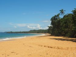Bluff Beach sull'isola di Colon, Bocas del Toro, Panama. Qui ci sono le onde preferite dai surfisti.
