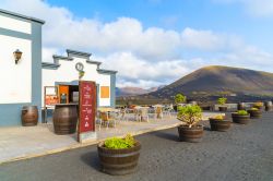 Bodega La Geria: l'azienda vinicola nel cuore di Lanzarote (Canarie). I vini prodotti sull'isola hanno un sapore particolare per via del suolo vulcanico - © Pawel Kazmierczak ...