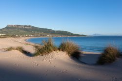 Un tratto di spiaggia a Bolonia, Spagna. Ancora poco conosciuta dagli europei, questa località con la sua spiaggia lunga 4 chilometri è amata particolarmente dalle giovani famiglie ...