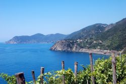 Il borgo di Corniglia fotografato da Manarola, provincia di La Spezia, Liguria. Corniglia sorge in cima a un promontorio alto circa 90 metri circondato da vigneti.

