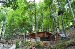 Il Bosco a Roncola dove si trova il Parco Avventura