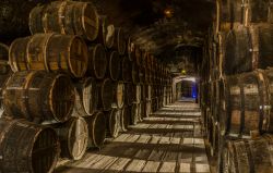 Botti a riposo nelle cantine Otard, distilleria di Cognac, Nuova Aquitania (Francia) - © Evgeny Shmulev / Shutterstock.com