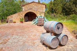 Botti in legno nel cortile di una cascina di Barberino Val d'Elsa, Toscana.

