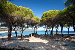 All'ombra sulla spiaggia di Budoni, Sardegna - © peppi18 - Fotolia.com