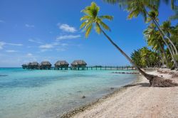 Bungalows di un resort sull'atollo di Tikehau, Tuamotu, Polinesia Francese.

