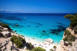 Cala Goloritze, una delle spiagge mitiche in Ogliastra, si trova nel territorio di Baunei