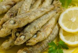 Calangianus, Sardegna: la Festa della Paranza, pesce fritto per tutti