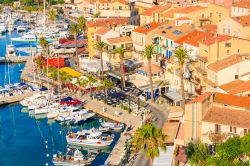 Calvi con le sue barche ormeggiate al porto, Corsica. Siamo in uno dei borghi più selvaggi dell'isola - © Pawel Kazmierczak / Shutterstock.com