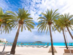 Calvia, Maiorca, spiaggia di Magalluf, isole Baleari. Per chi è alla ricerca di divertimento, questa località delle Baleari è ideale- © holbox / Shutterstock.com