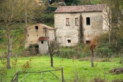 Campagna in Arpinia fotografata in autunno, provincia di Avellino, Italia.



