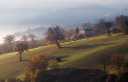 Campagne marchigiane nei dintorni di Loro Piceno