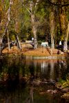Campello sul Clitunno, il parco delle fonti - © eZeePics / Shutterstock.com