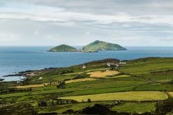 Campi a Valentia Island, Contea di Kerry, Irlanda. Il territorio, poco più che pianeggiante, si innalza solo in certi punti sino a raggiungere i 268 metri di altitudine nei pressi delle ...