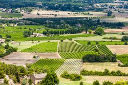 Campi della Provenza nei pressi di Gordes, Francia - Una bella immagine delle coltivazioni e dei campi che si estendono a perdita d'occhio nei dintorni di Gordes © PHB.cz (Richard Semik) ...