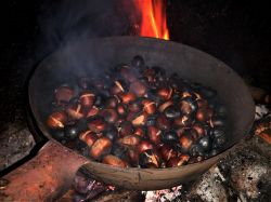 Campiglia d'Orcia, Toscana: la Festa della Castagna in autunno