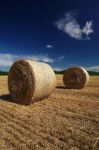 Campo di grano dopo la mietitura a Cazzago San Martino in Franciacorta, Lombardia