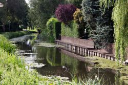 Un canale della cittadina di Edam, siamo nel Noord Holland, la regione a nord di Amsterdam - © francesco de marco / Shutterstock.com