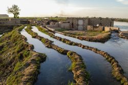 Canali di irrigazione lungo il fiume Eufrate a Dura-Europos, Siria. Il fiume nasce in Turchia dalla confluenza di due fiumi - il Kara e il Murat - e sfocia nel Golfo Persico dopo essersi unito ...
