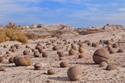 "Cancha de bochas" nel parco di Ischigualasto, San Juan, Argentina. Le singolari formazioni rocciose che per via della loro forma sferica somigliano alle tradizionali bocce. Questo ...