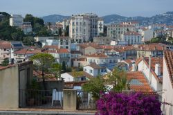 Cannes fotografata dalla collina di Le Suquet, Costa Azzurra, Francia.
