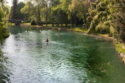 Canoe sul fiume Livenza a Sacile in Friuli Venezia Giulia - © Sergio Delle Vedove / Shutterstock.com