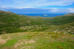 Cap Corse e l'isola di Giraglia, Corsica, nei pressi di Rogliano. L'isola si trova all'estremità settentrionale del Capo Corso ed è un centro di pesca al corallo.

 ...