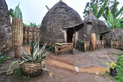Capanne di etnia Dorze nel villaggio di Arba Minch, Etiopia. Con i loro tetti di forma conica possono arrivare a superare i 10 metri di altezza.
