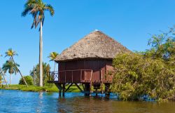 I turisti possono soggiornare nelle capanne sull'acqua del resort Villa Guamà, presso la Laguna del Tesoro (provincia di Matanzas, Cuba).