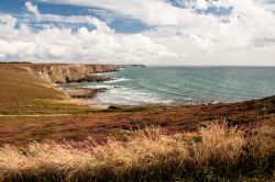 Veduta panoramica della costa bretone, nel nord-ovest della Francia, con le tipiche scogliere che cadono a picco sulle acque dell'Oceano Atlantico - foto © Crobard / Shutterstock.com ...