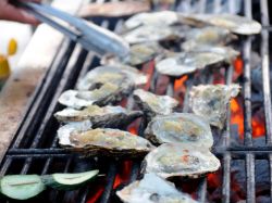 Carlingford Oyster Festival, una delle feste a tema ostriche in Irlanda.