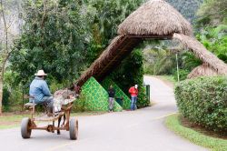 Un carretto trainato da un cavallo su una strada delle campagne della Valle de Viñales (Cuba) - © Stefano Ember / Shutterstock.com