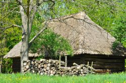 Casa con tetto in paglia a Stratford-upon-Avon, Inghilterra - Una simpatica casa con le pareti in legno e il tetto in paglia fotografata nelle campagne di Stratford © sebikus / Shutterstock.com ...