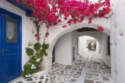 Casa tradizionale a Paros, Cicladi. Mura bianche, infissi blu e fiori dalle tonalità più vivaci rappresentano il suggestivo scorcio architettonico che si può ammirare passeggiando ...