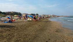 Casalborsetti, Ravenna: la spiaggia dei cani ...