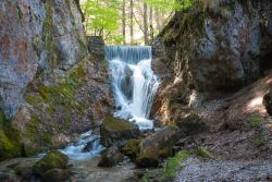 Cascata nei dintorni alpini di Mittenwald, Germania - © Stacey Newman / Shutterstock.com